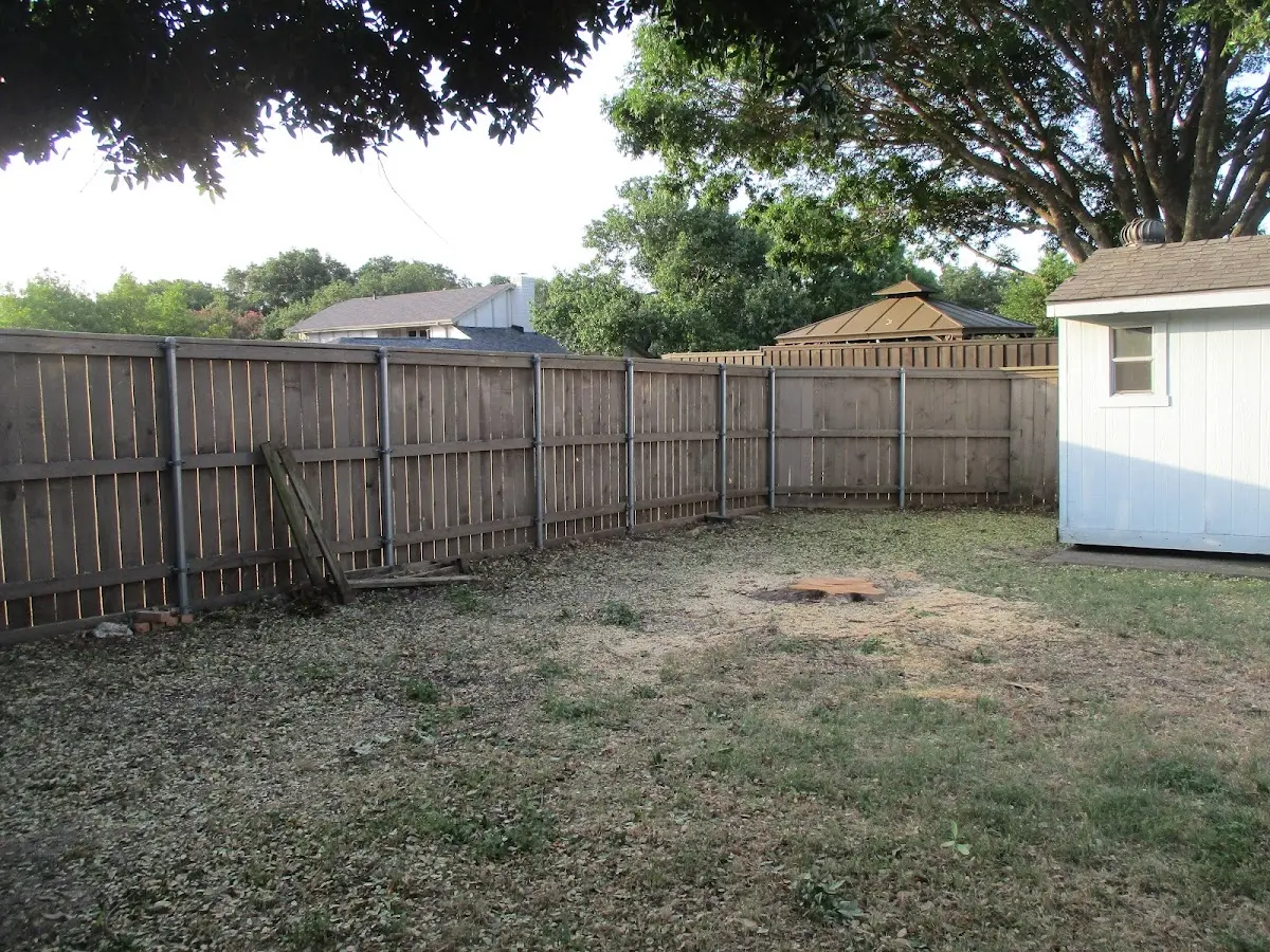 Cleared yard after professional tree removal in Mahaffey